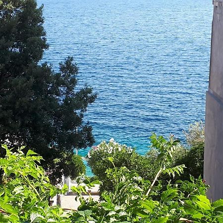 Apartments By The Sea Prigradica, Korcula - 16125 Blato  Eksteriør bilde